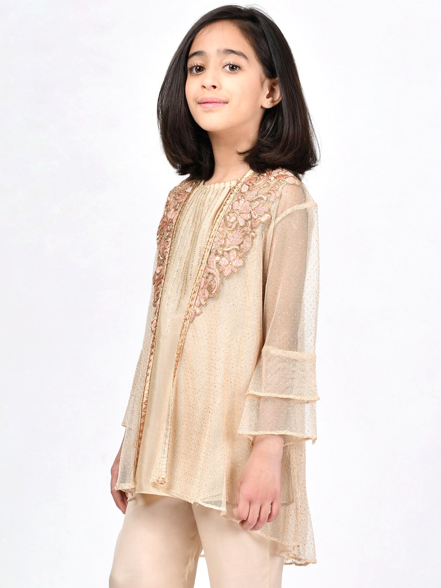Embroidered Net Dress