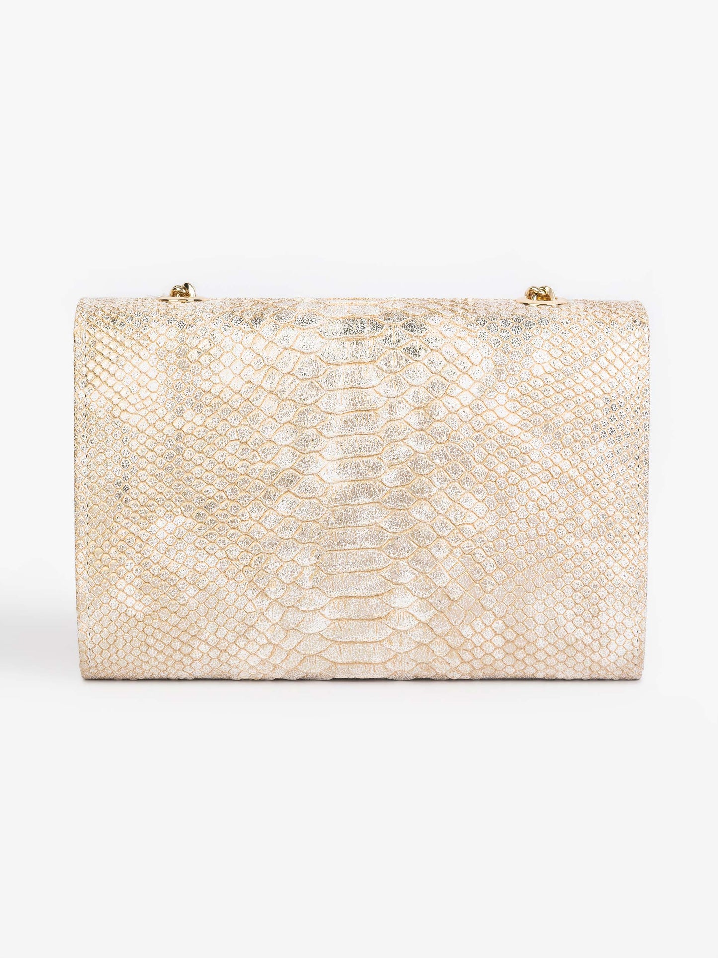 Snakeskin Clutch