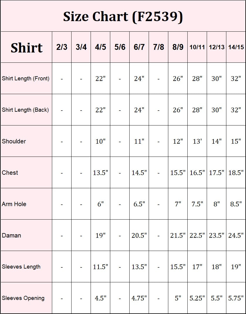 Tilla Embroidered Shirt
