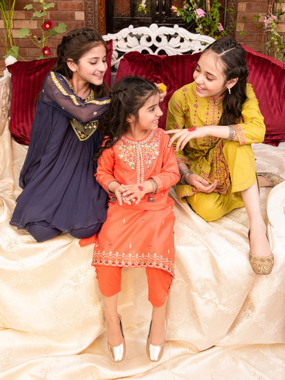 Embroidered Chiffon Suit