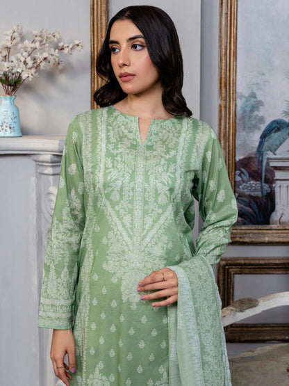 2 Piece Lawn Suit-Paste Print(Unstitched)