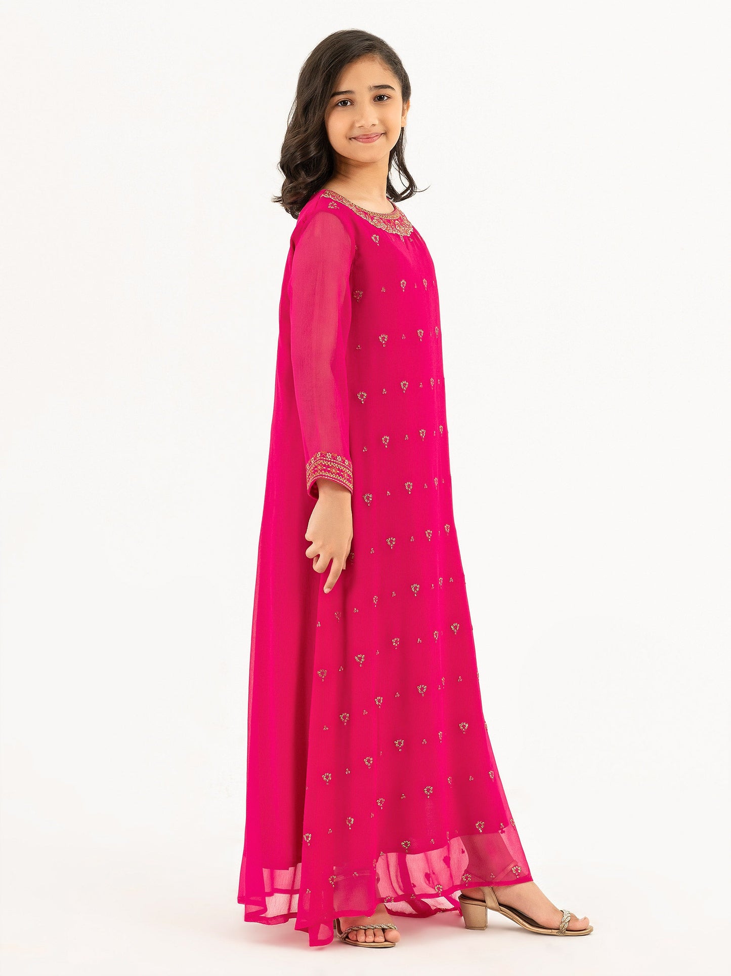 Chiffon Shirt-Embroidered (Pret)