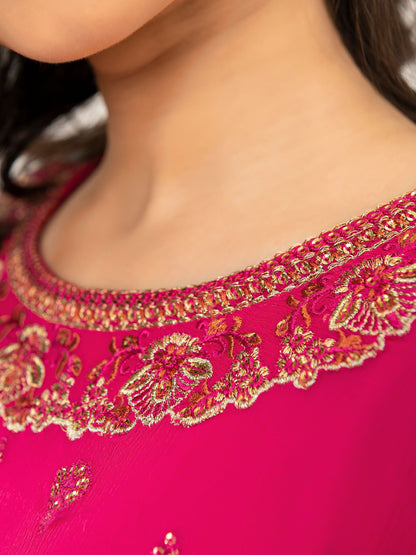 Chiffon Shirt-Embroidered (Pret)