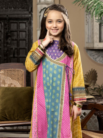 2 Piece Lawn Suit-Printed (Pret)