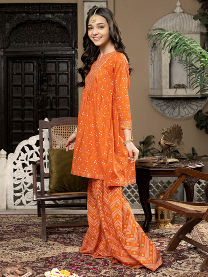 2 Piece Lawn Suit-Embellished (Pret)