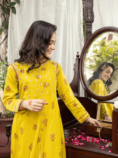 2 Piece Lawn Suit-Embellished (Pret)
