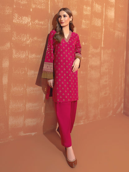 2 Piece Khaddar Suit-Paste Print(Unstitched)