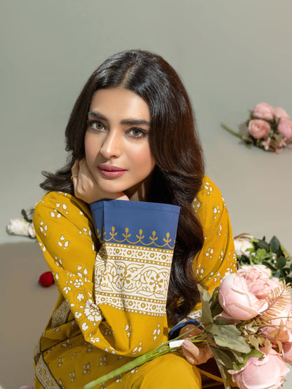 2 Piece Khaddar Suit-Paste Print(Unstitched)