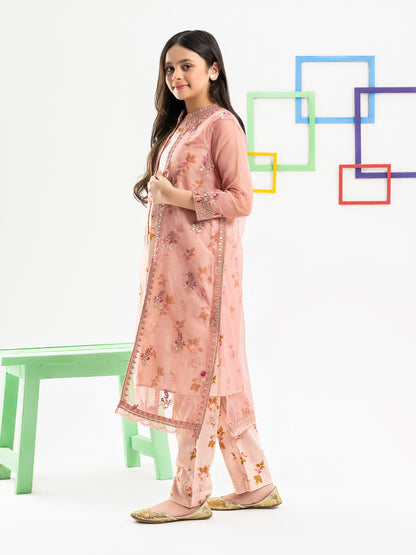 2 Piece Organza Suit with Cardigan- Embroidered