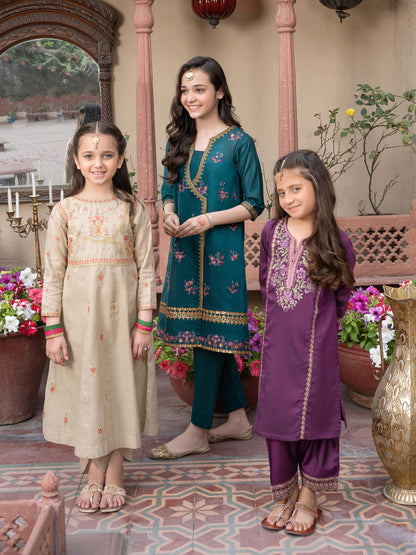 2 Piece Net Suit-Embellished (Pret)