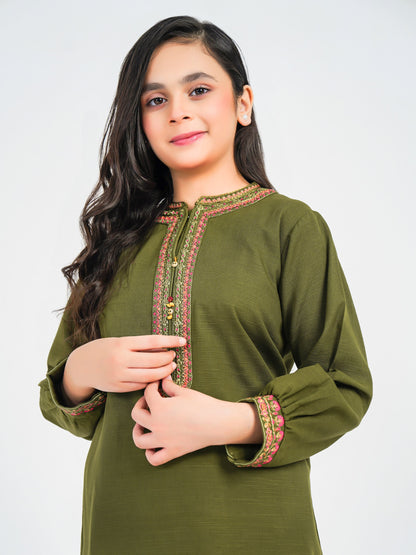2 Piece Khaddar Suit-Embroidered