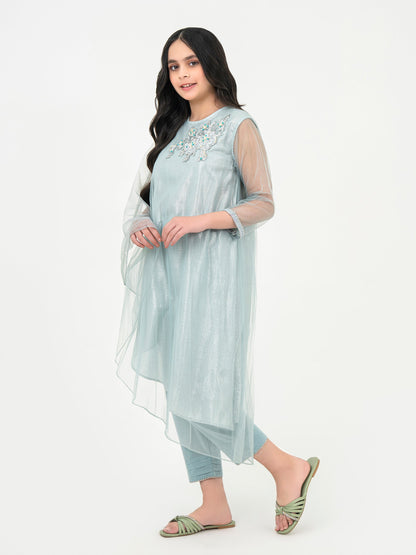2 Piece Net Suit-Embroidered (Pret)