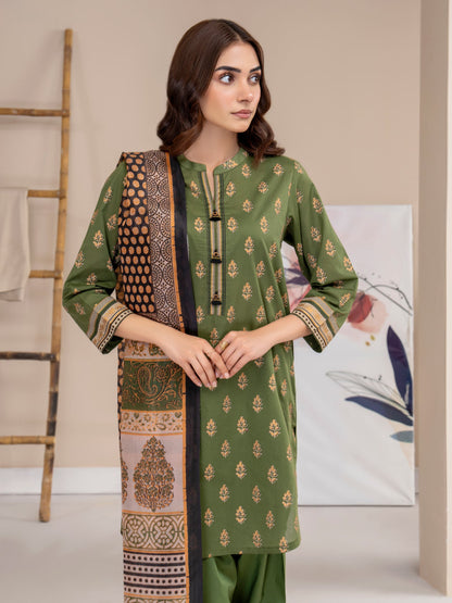 2 Piece Lawn Suit-Paste Print (Unstitched)