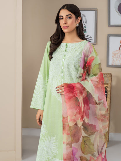 2 Piece Lawn Suit-Paste Print (Unstitched)