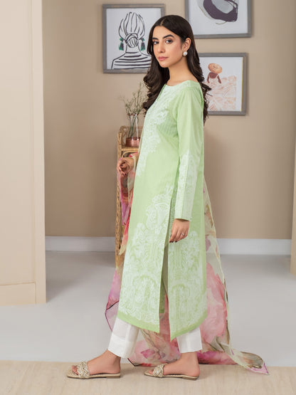 2 Piece Lawn Suit-Paste Print (Unstitched)