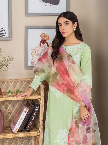 2 Piece Lawn Suit-Paste Print (Unstitched)
