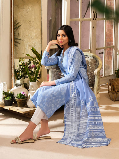 2 Piece Lawn Suit-Paste Print (Unstitched)
