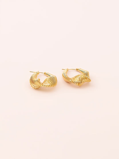 Twisted Hoop Earrings