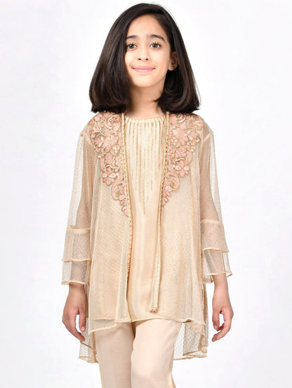Embroidered Net Dress