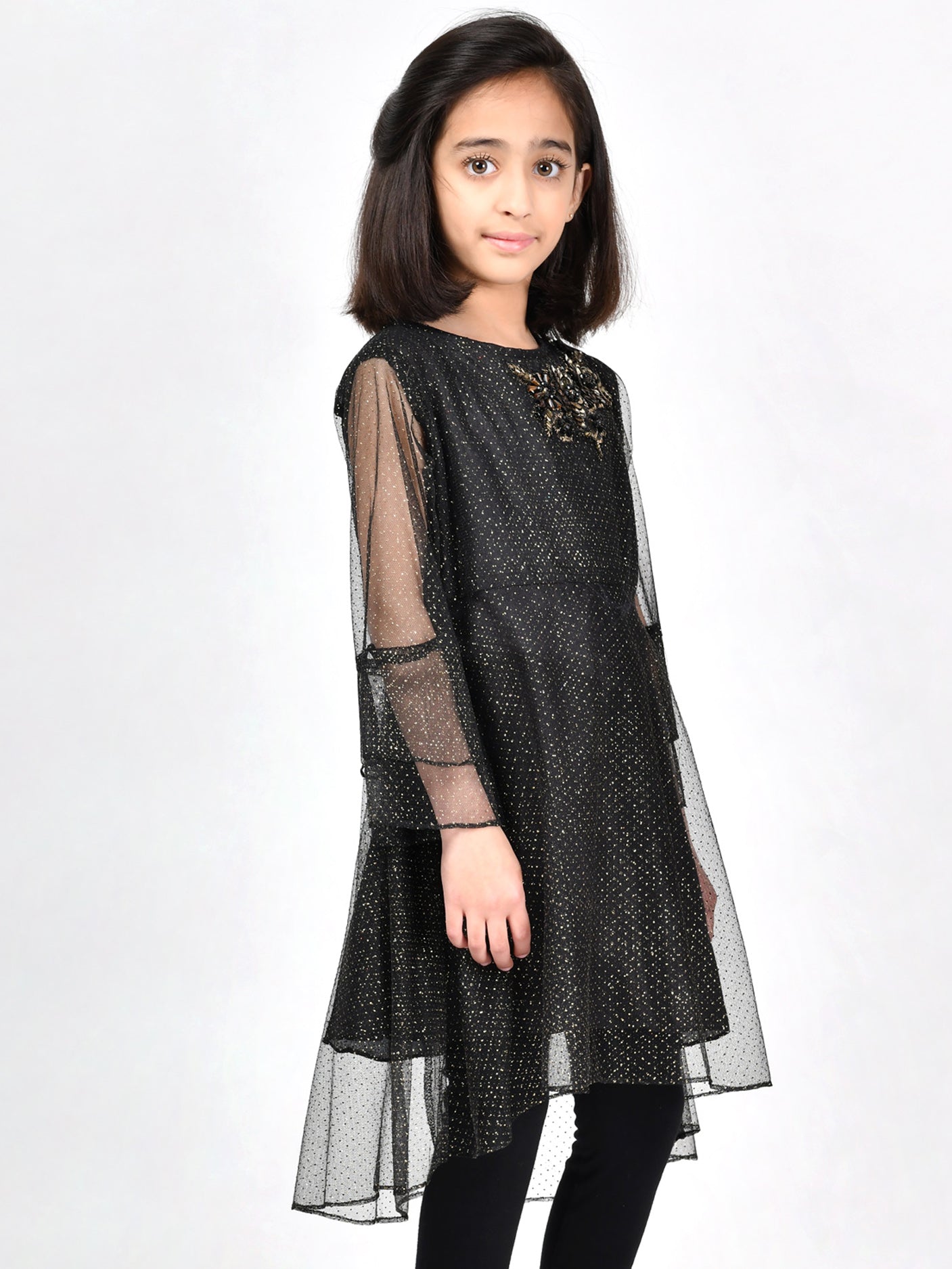 Embellished Net Dress