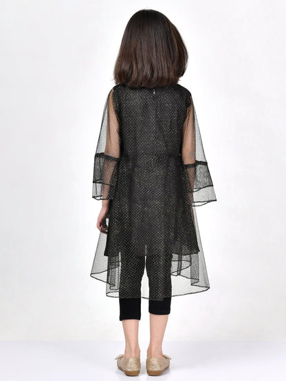 Embellished Net Dress