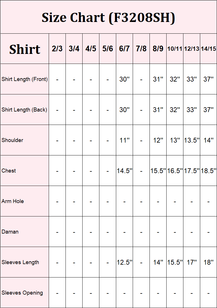 2 Piece Organza Suit-Embroidered (Pret)