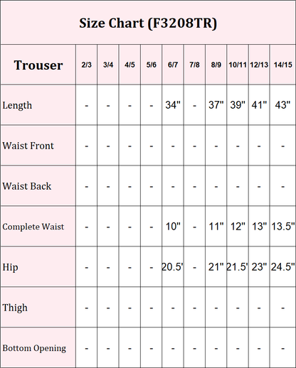 2 Piece Organza Suit-Embroidered (Pret)