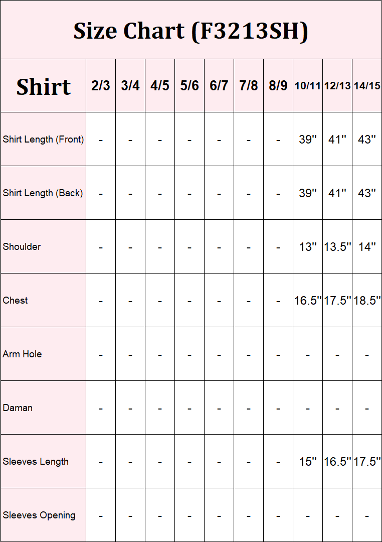 2 Piece Net Suit-Embroidered (Pret)