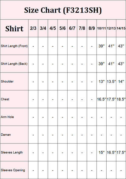 2 Piece Net Suit-Embroidered (Pret)