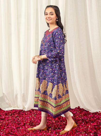 Cambric Frock-Embroidered