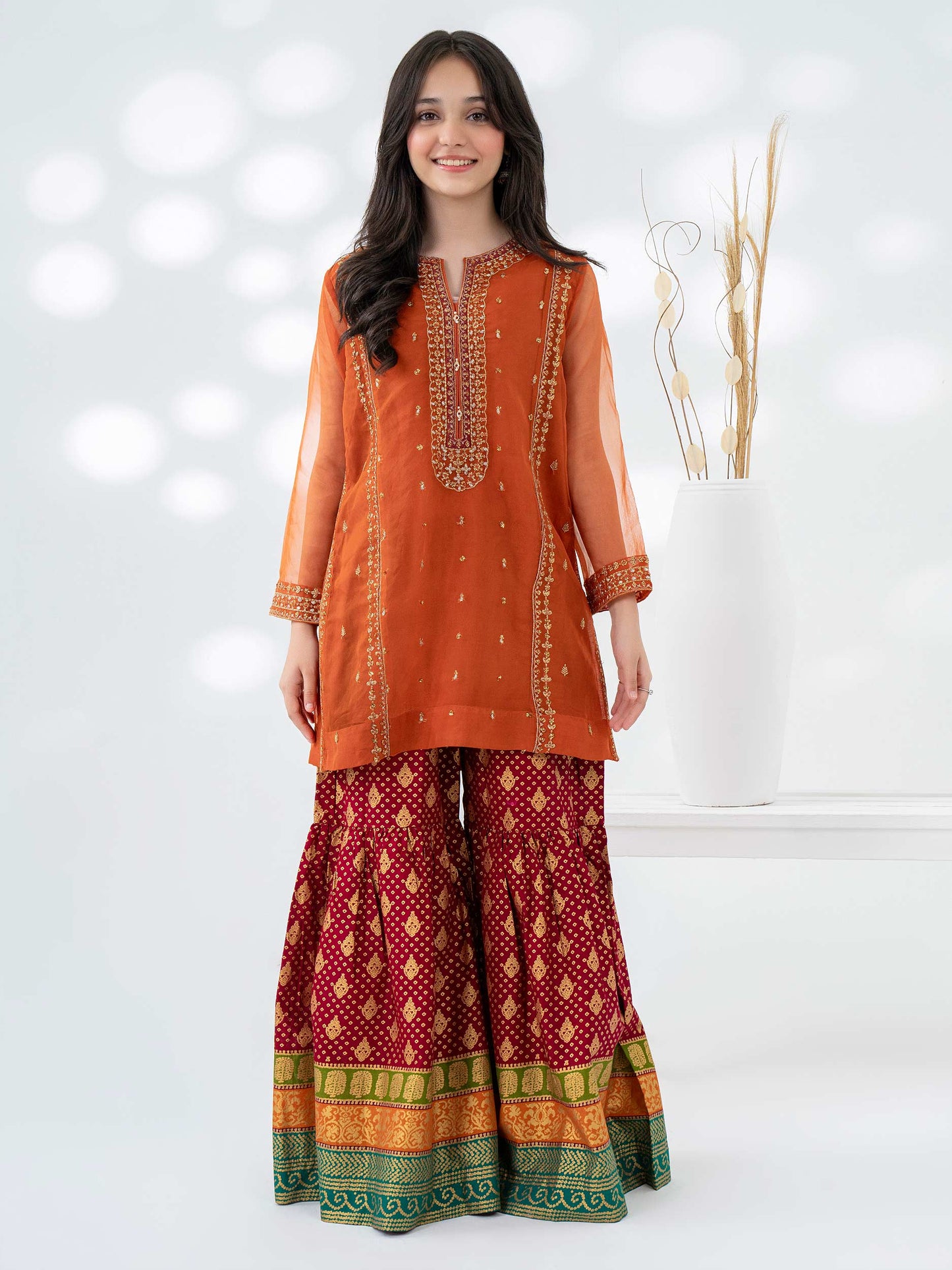 2 Piece Organza Suit-Embroidered