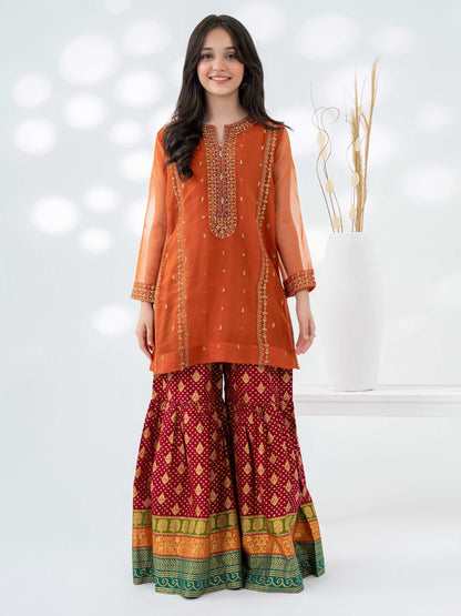 2 Piece Organza Suit-Embroidered