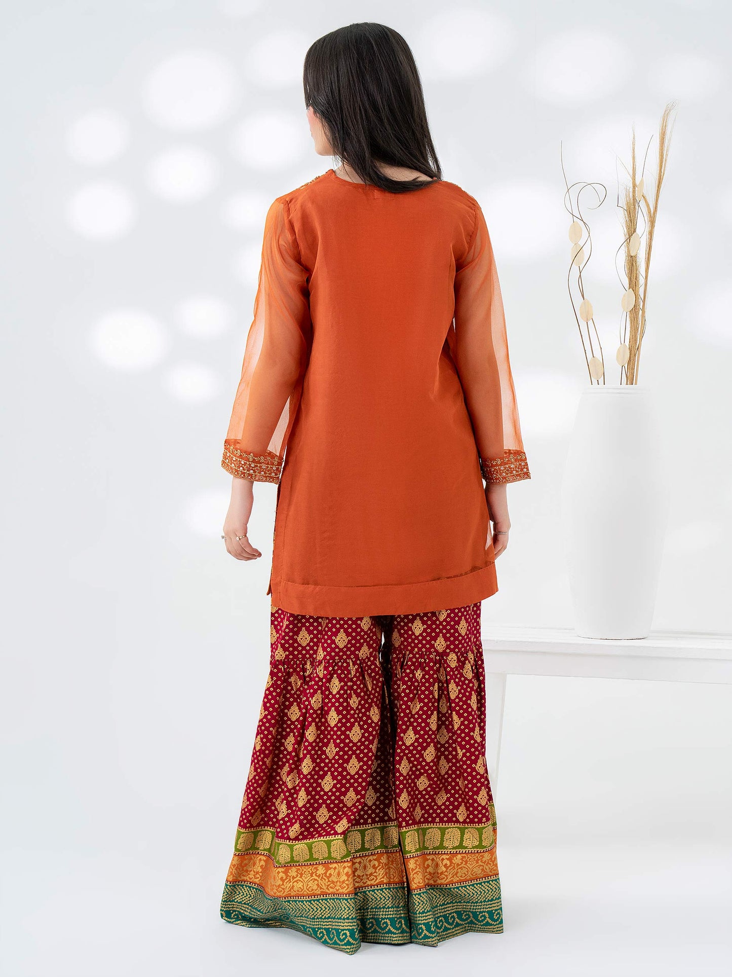 2 Piece Organza Suit-Embroidered