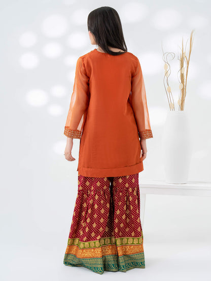 2 Piece Organza Suit-Embroidered