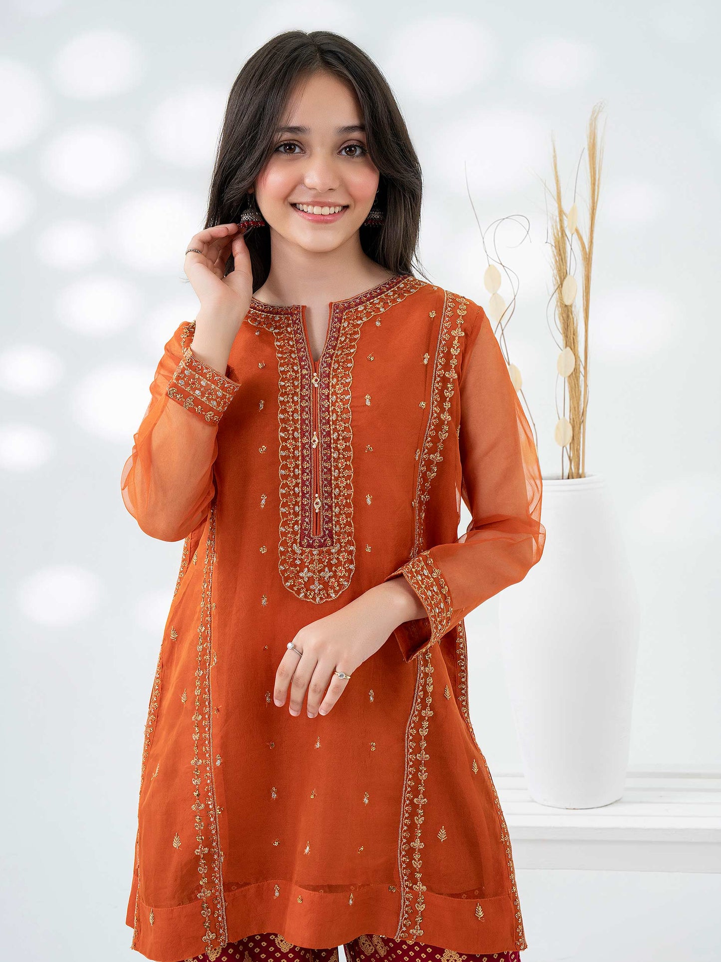 2 Piece Organza Suit-Embroidered