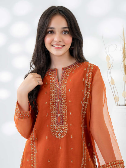 2 Piece Organza Suit-Embroidered