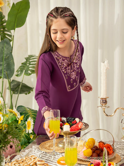 2 Piece Cotton Net Suit-Embroidered