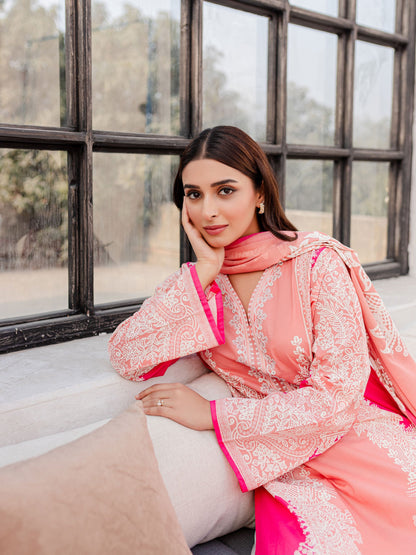 2 Piece Lawn Suit-Embroidered (Unstitched)