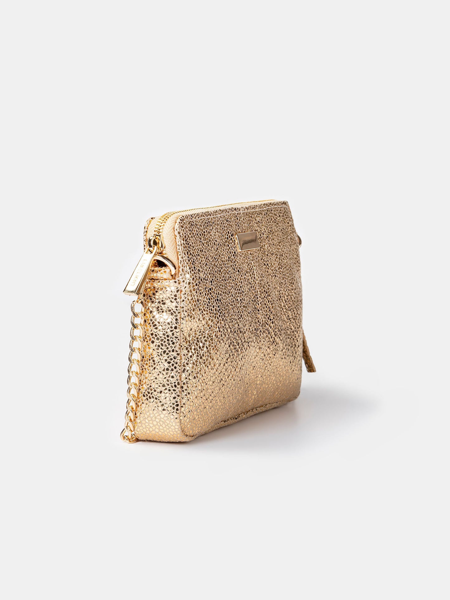 Glitter Clutch
