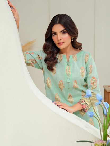 2 Piece Lawn Suit-Paste Print (Unstitched)