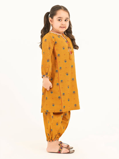 2 Piece Khaddar Suit-Embroidered (Pret)