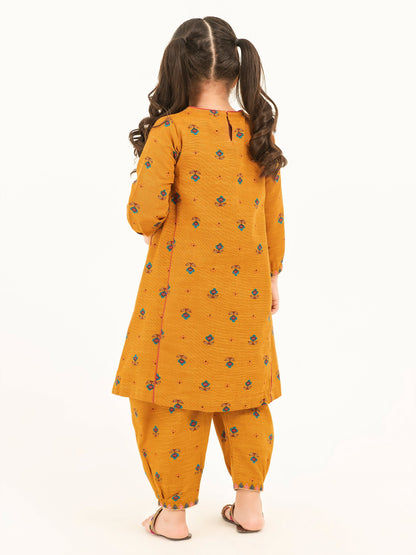 2 Piece Khaddar Suit-Embroidered (Pret)