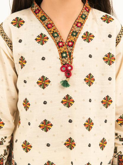 2 Piece Khaddar Suit-Embroidered (Pret)