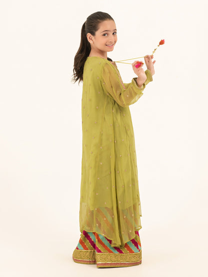 2 Piece Chiffon Suit-Embroidered (Pret)
