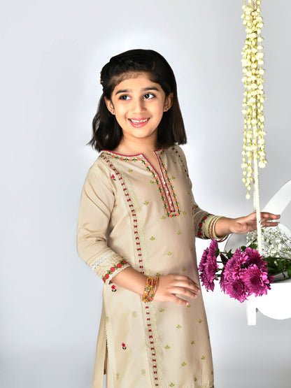 Embroidered 2 Piece Lawn Suit