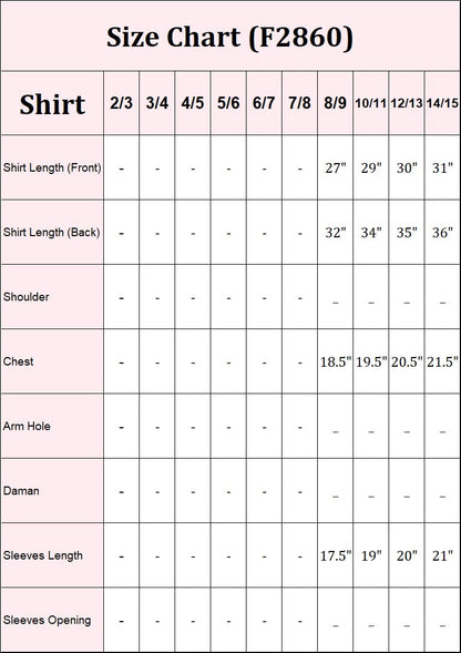 2 Piece Chiffon Suit-Embroidered (Pret)